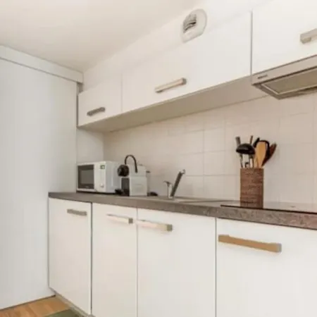 Magnifique Duplex Type Loft Apartament Nicea