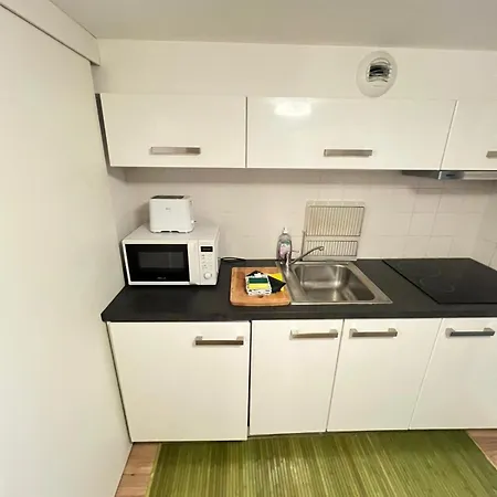 Magnifique Duplex Type Loft アパート ニース