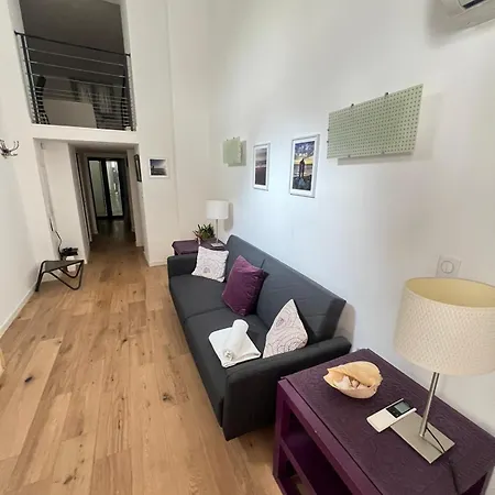 Magnifique Duplex Type Loft דירה ניס