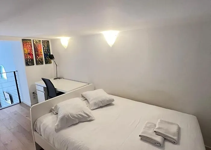 דירה Magnifique Duplex Type Loft ניס