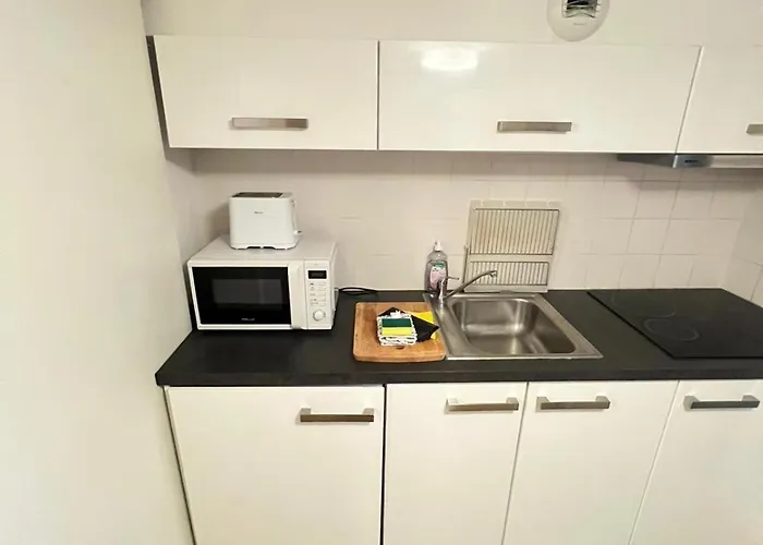 Magnifique Duplex Type Loft דירה ניס