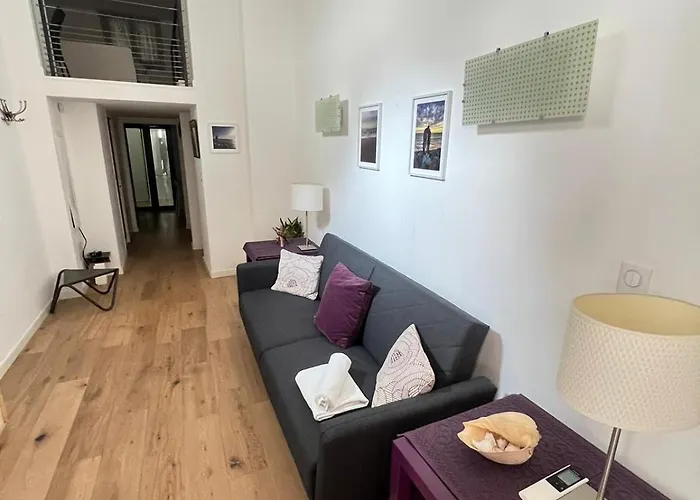 Magnifique Duplex Type Loft Appartamento Nizza