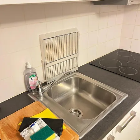 Magnifique Duplex Type Loft Nice